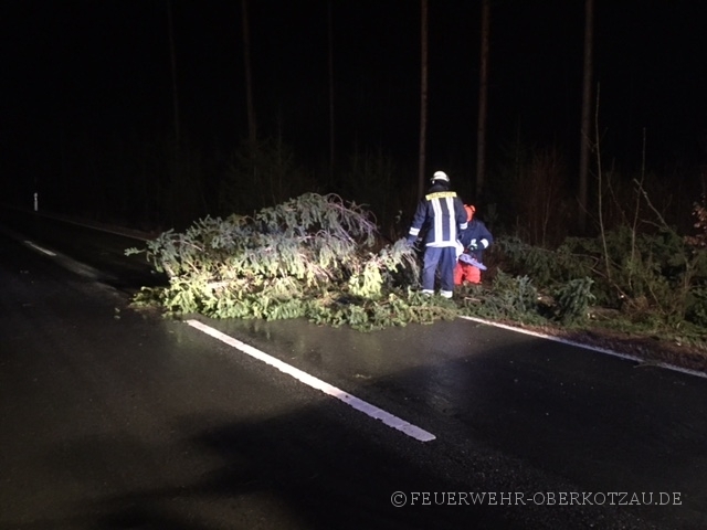 Baum über Fahrbahn, HO 12